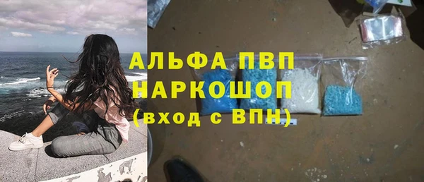 индика Бородино