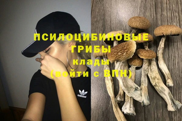индика Бородино
