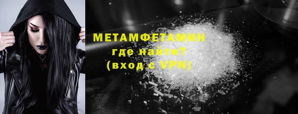 индика Бородино
