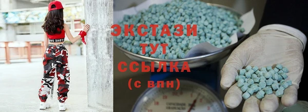 индика Бородино