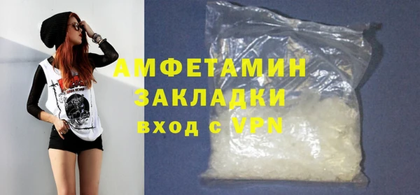 индика Бородино