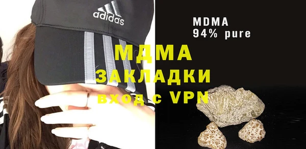 индика Бородино