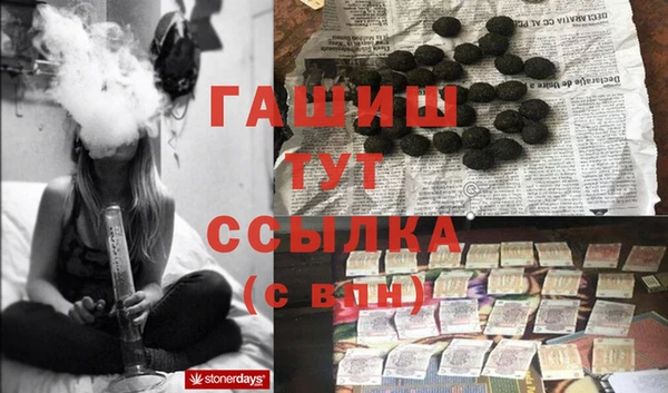 индика Бородино