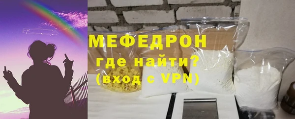 индика Бородино