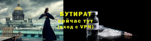 индика Бородино