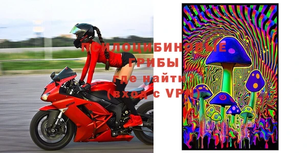 индика Бородино