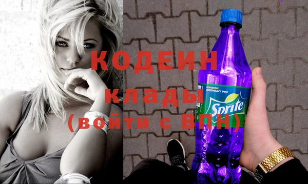 индика Бородино