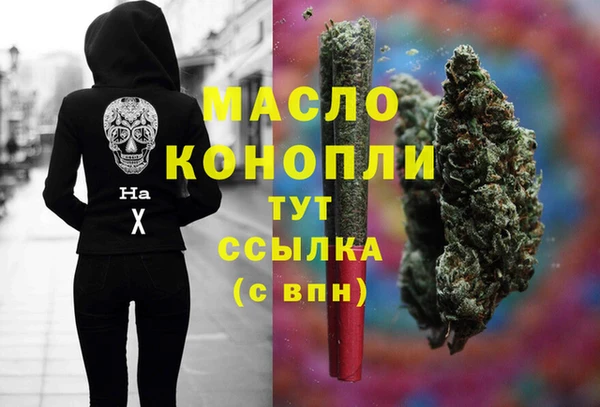 индика Бородино