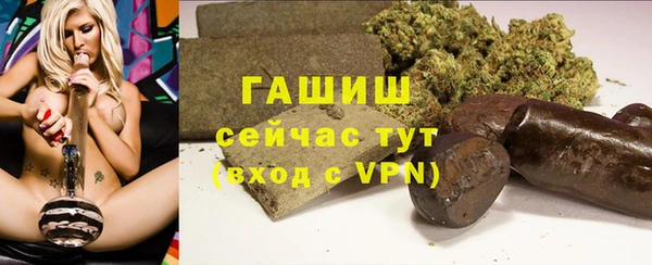 индика Бородино