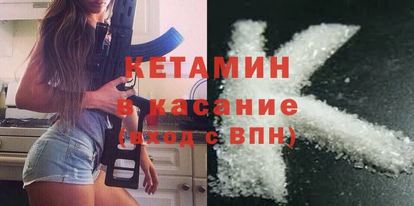 индика Бородино