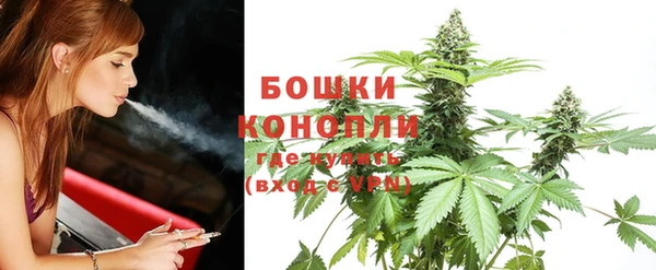 индика Бородино