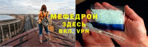 индика Бородино