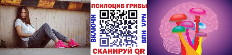 дарк нет состав  Северобайкальск  Псилоцибиновые грибы Psilocybe  кракен ссылки 